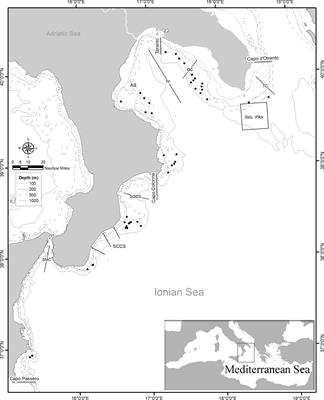 Deep-water species assemblages on the trawlable bottoms of the Central Mediterranean: Changes or not over time?